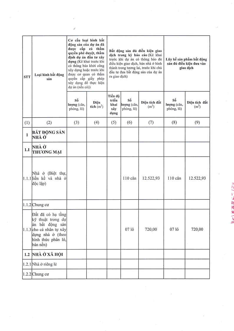 CBTT_bat_dong_san_truoc_khi_dua_vao_kinh_doanh_Page5